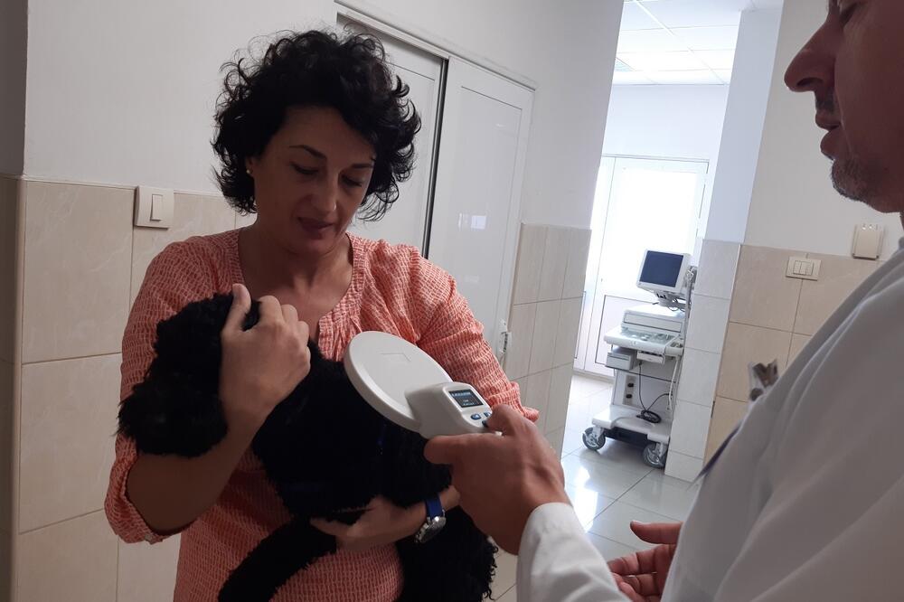 Čipovanje pasa, Foto: Ministarstvo Poljoprivrede I Ruralnog Razvoja