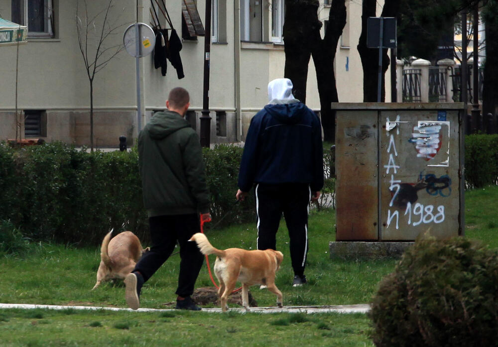 Privremenim mjerama Nacionalnog koordinacionog tijela za zaštitu građana od koronavirusa zabranjen je izlazak iz objekta stanovanja vikendom od 13 časova do pet sati ujutro narednog dana. Od zabrane su izuzeti samo oni koji moraju da rade i za to imaju potvrdu od poslodavca. U galeriji fotoreportera "Vijesti" Luke Zekovića pogledajte kako je bilo na ulicama Nikšića danas nakon 13 časova.