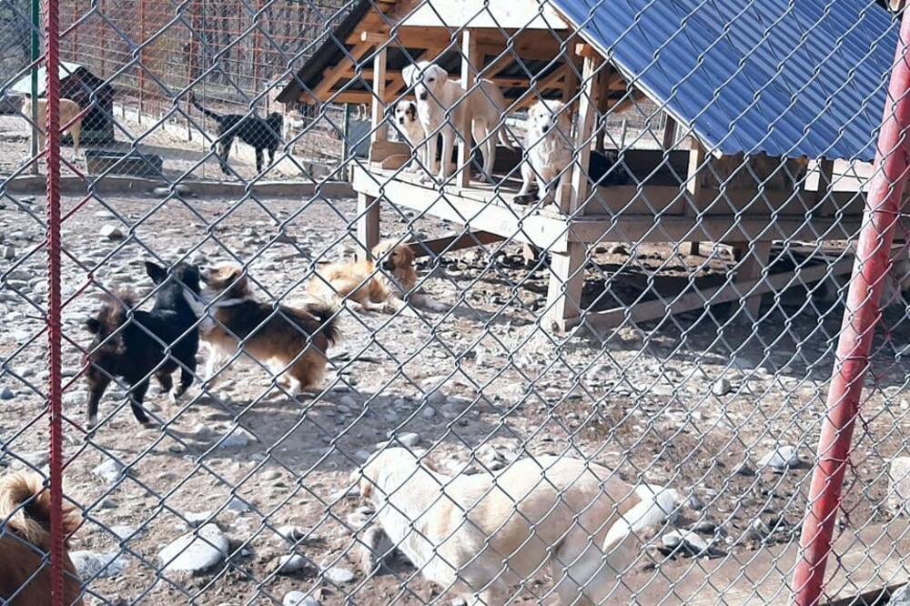 Detalj iz prihvatilišta, Foto: Privatna arhiva