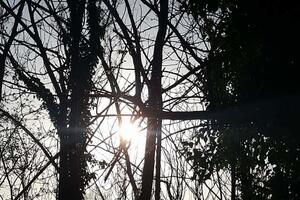 Država da odgovori na krizu u drvopreradi