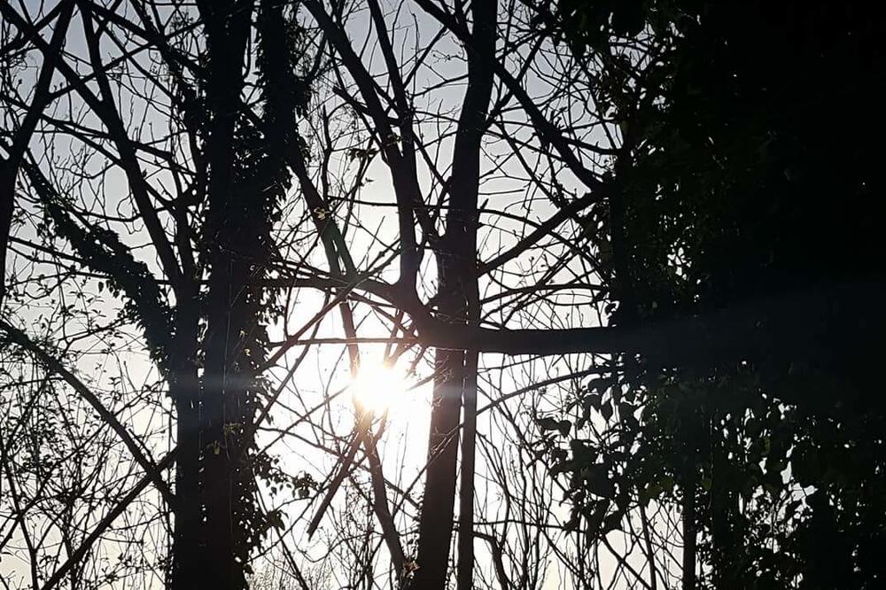 Ilustracija, Foto: Jelena Kontić