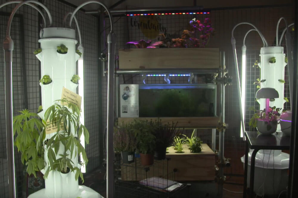 Serijal "Moj Svijet"