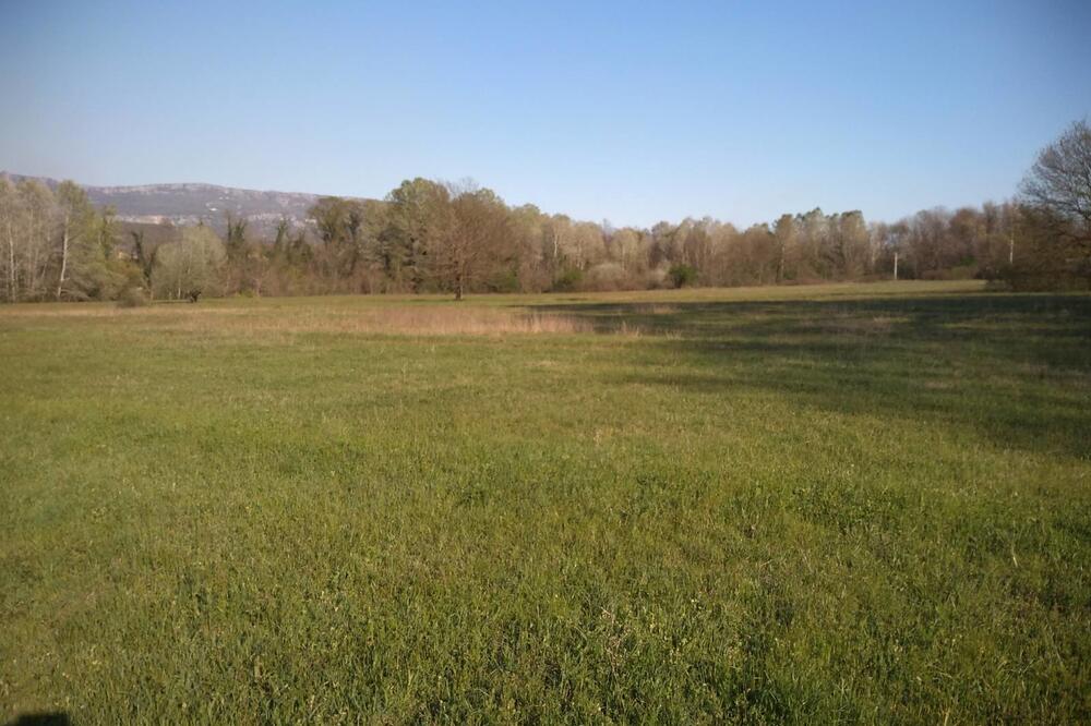 Njiva koja tek treba da se obrađuje u selu Kosić u Bjelopavlićima, Foto: Privatna arhiva