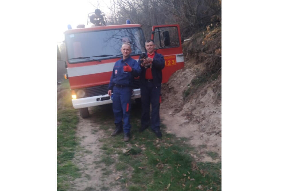 Vatrogasci spasili i štene, Foto: Služba zaštite i spasavanja BP