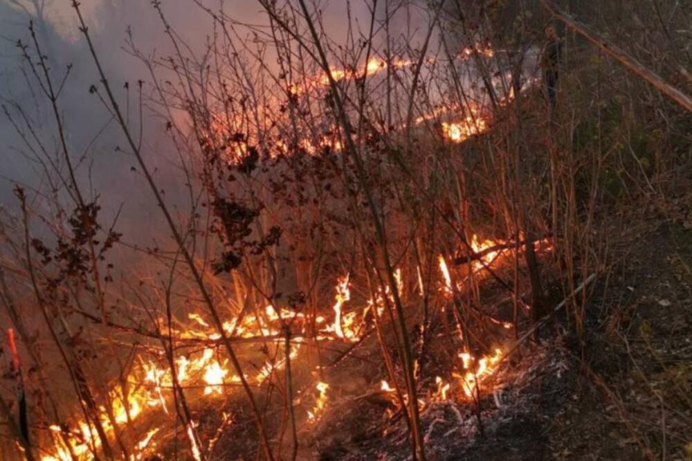 Požar u Lokvama Puletića, Foto: Dragan Dragović