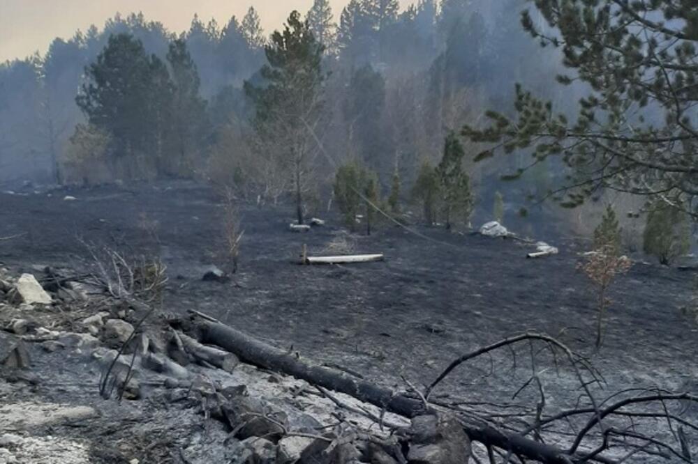 Šteta koju je pričinio jedan od požara, Foto: CEDIS
