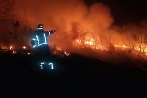 Šavnički vatrogasci lokalizovali požar velikih razmjera u selu...