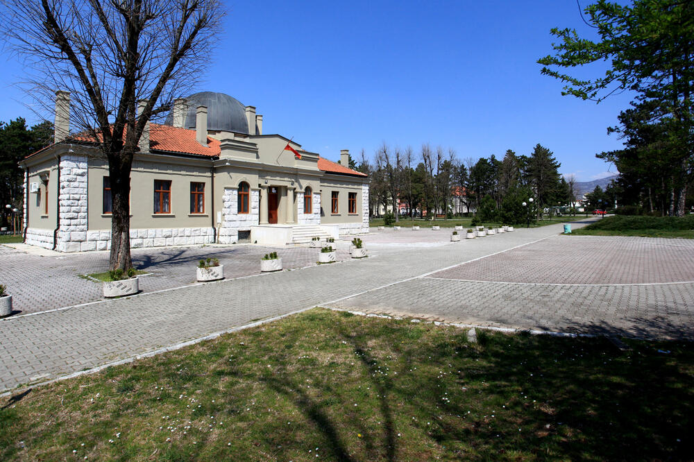 Detalj iz nikšićkog parka, Foto: Luka Zeković, Luka Zeković