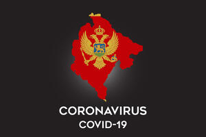 Jedan novi slučaj koronavirusa u CG, ukupno 273 osobe oboljele