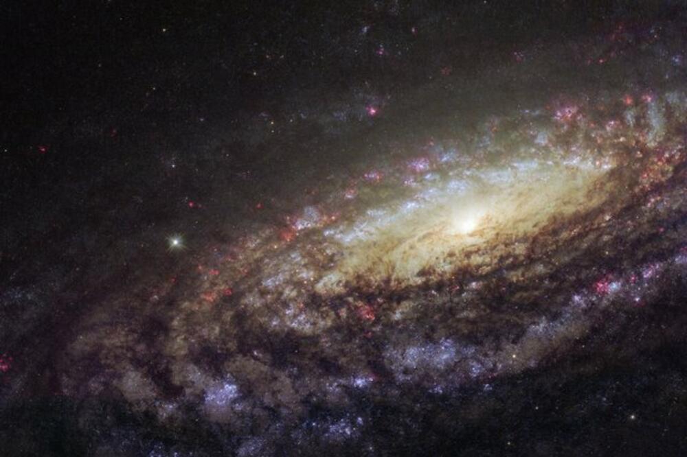 Astronomers have spotted the most powerful supernova ever
