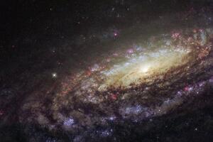 Povratak iz svemira u vrijeme korone