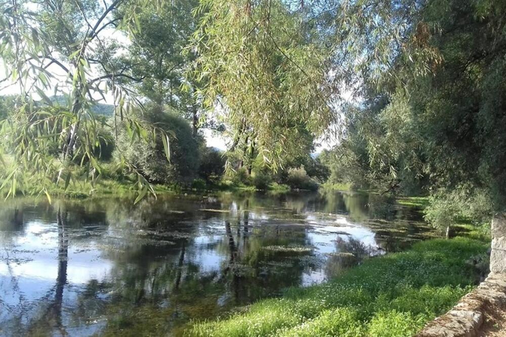 Manitovac na Zeti, Foto: Privatna arhiva