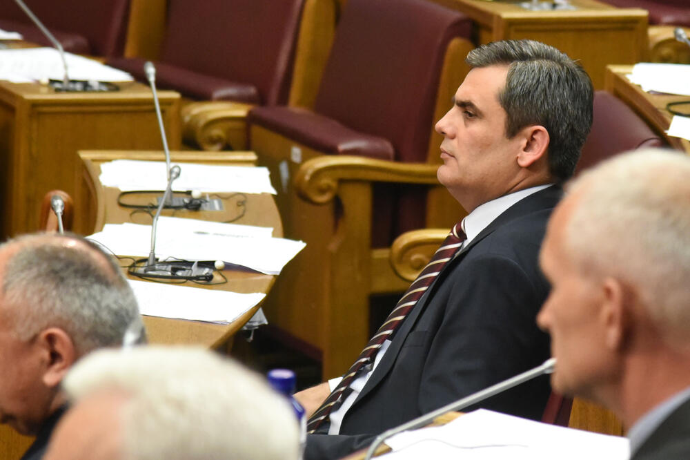 Ibrahimović, Foto: Boris Pejović