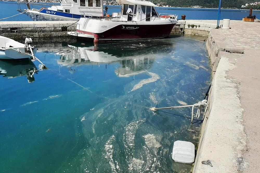 Mulj isred crkve svetog Roka, Foto: Siniša Luković