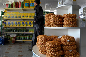 U Nikšiću ne fali sjemenog i sadnog materijala