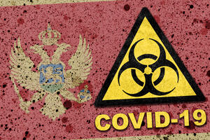 Analizirana 193 uzorka, bez potvrđenih slučajeva koronavirusa