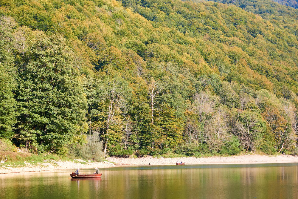 Ilustracija, Foto: Shutterstock