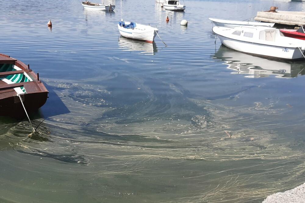 Fekalne otpadne vode u more su se izlivale kroz ispust jednog od kanala za odvod atmosferske kanalizacije, Foto: Siniša Luković
