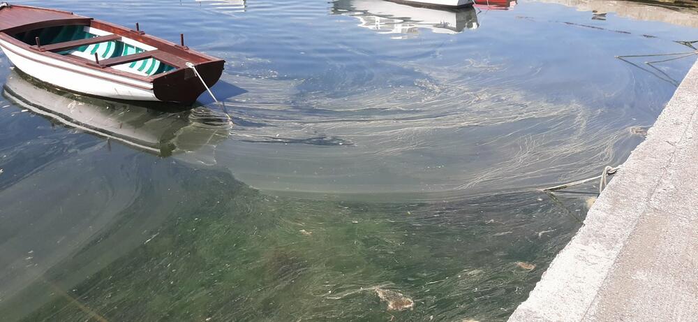 More u uvali Seljanovo opet bilo prekriveno mrljama