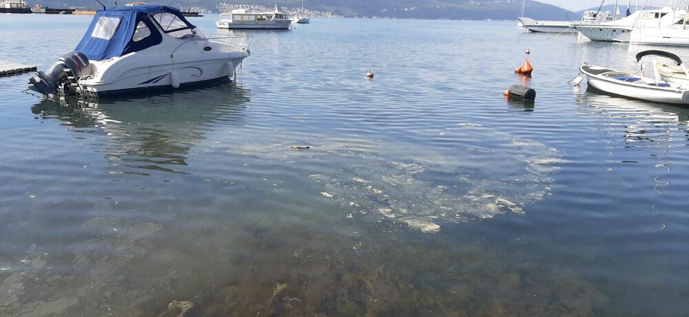 More u uvali Seljanovo opet bilo prekriveno mrljama