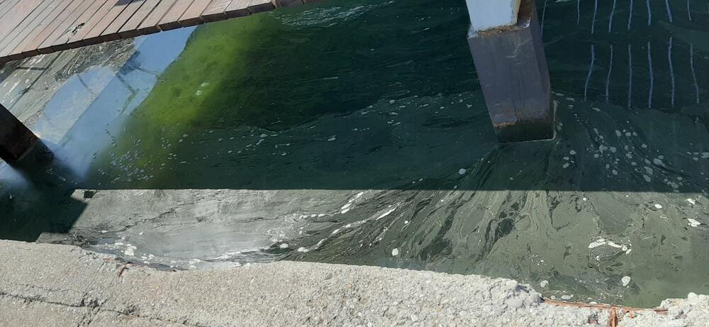 More u uvali Seljanovo opet bilo prekriveno mrljama