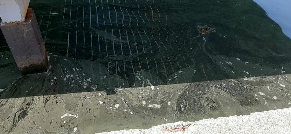 More u uvali Seljanovo opet bilo prekriveno mrljama