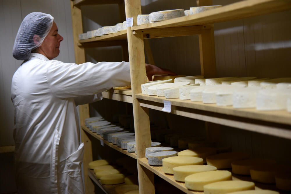 Šta sa sirom, Foto: Luka Zeković