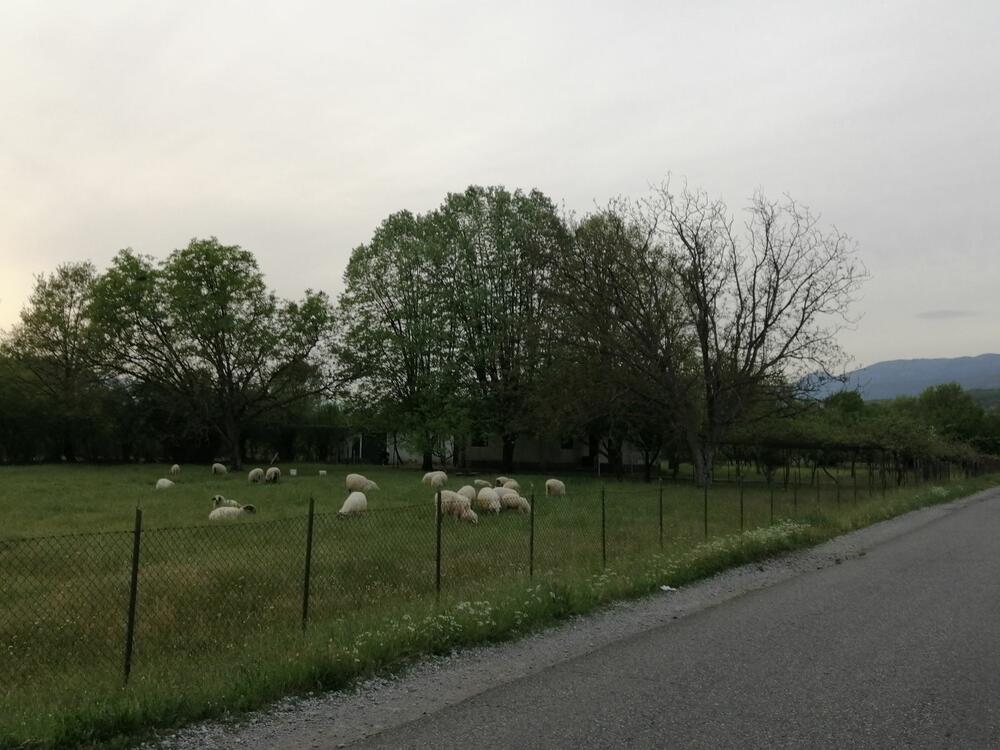 Danas u Danilovgradu