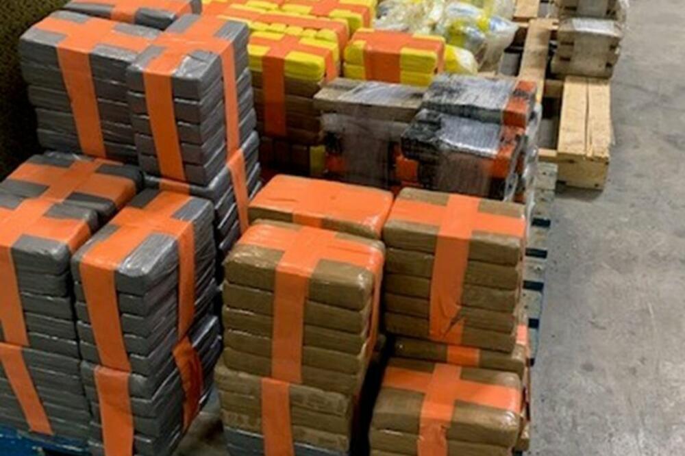 Dio zaplijenjene droge vrijedadn gotovo 30 miliona dolara, Foto: Ice.gov