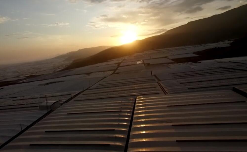 Plastenici nepregledni, Foto: BBC/screenshot