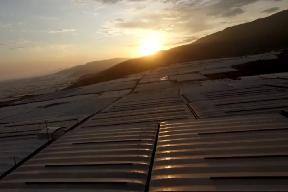 Plastenici nepregledni, Foto: BBC/screenshot