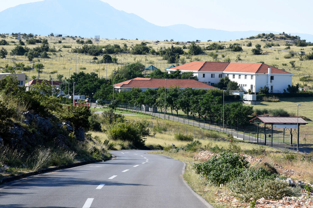 Kakaricka gora (Ilustracija), Foto: Zoran Đurić