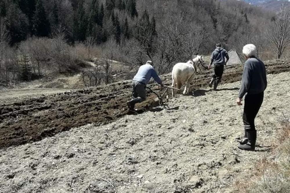 Počelo oranje njiva, Foto: Privatna arhiva