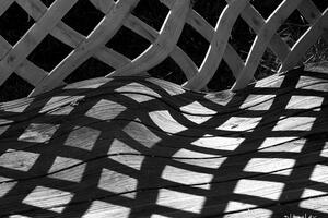 Država nezaustavljivo klizi u fašizam