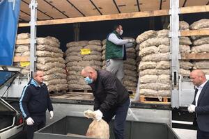 Opština Berane besplatano dodjeljivala sjemenski krompir i luk