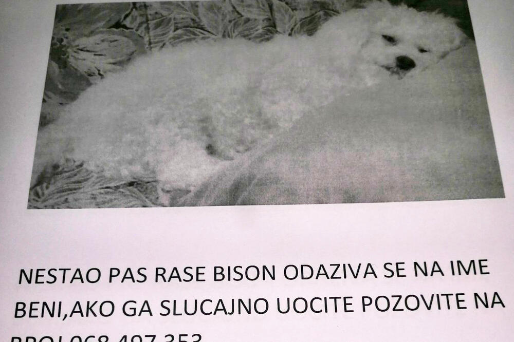 Obavještenje o nestaku psa kojeg su Ćosići objavili, Foto: Privatna arhiva
