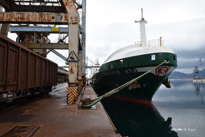 U Luku Bar stigla pšenica iz Francuske