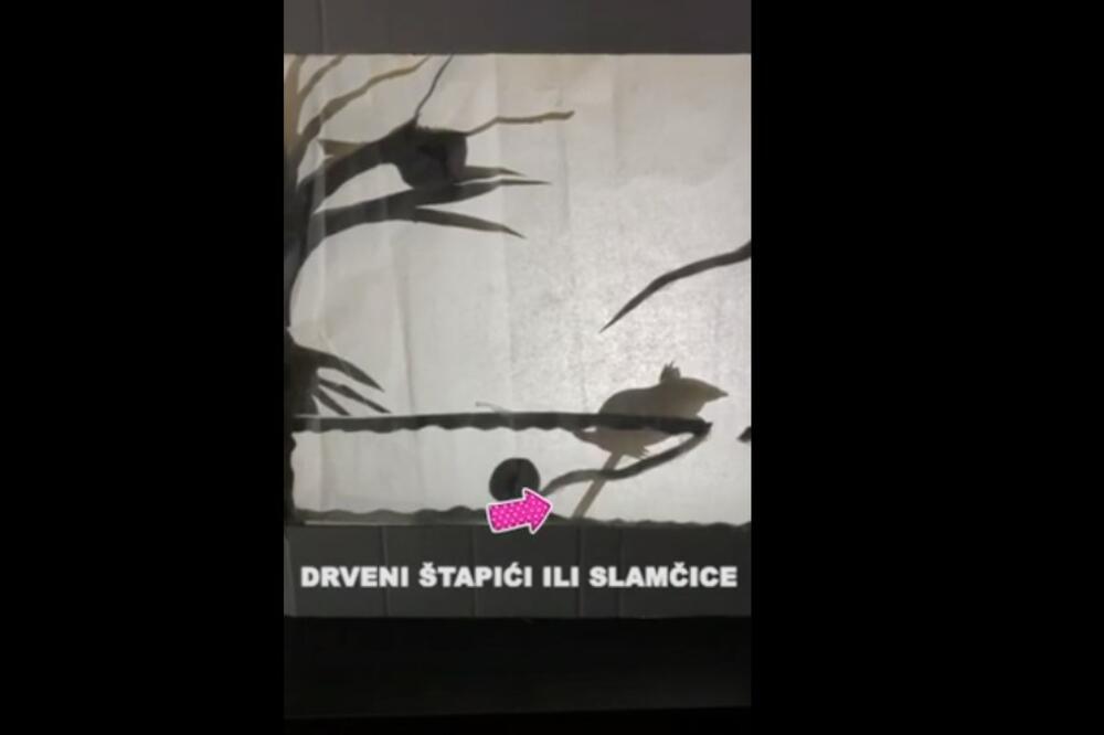 Igra sjenki, Foto: Printscreen