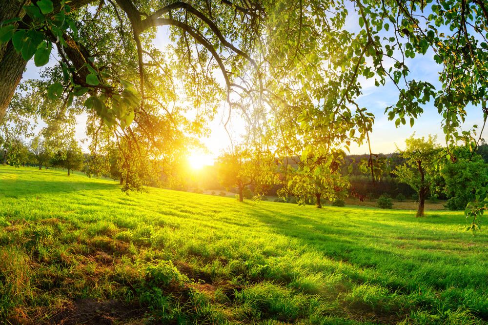 Ilustracija, Foto: Shutterstock