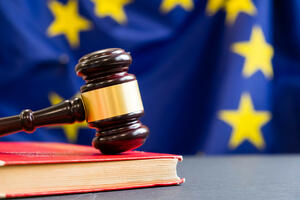 Evropski sud za ljudska prava: Crna Gora prekršila pravo na...