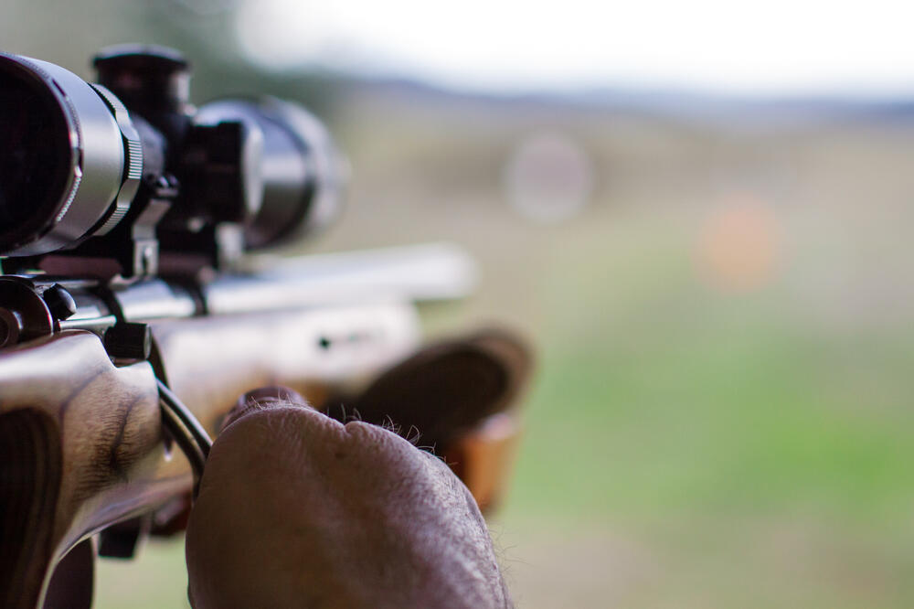 Puška (Ilustracija), Foto: Shutterstock