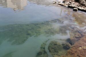 Tivat: Žitelji Obale Đuraševića se žale na izlivanje otpadnih voda...