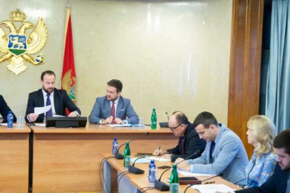 Sa sjednice Odbora za međunarodne odnose i iseljenike, Foto: Skupština Crne Gore