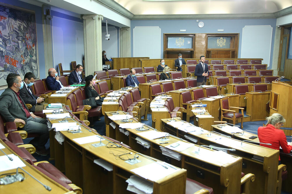 Detalj sa sjednice, Foto: Skupština Crne Gore