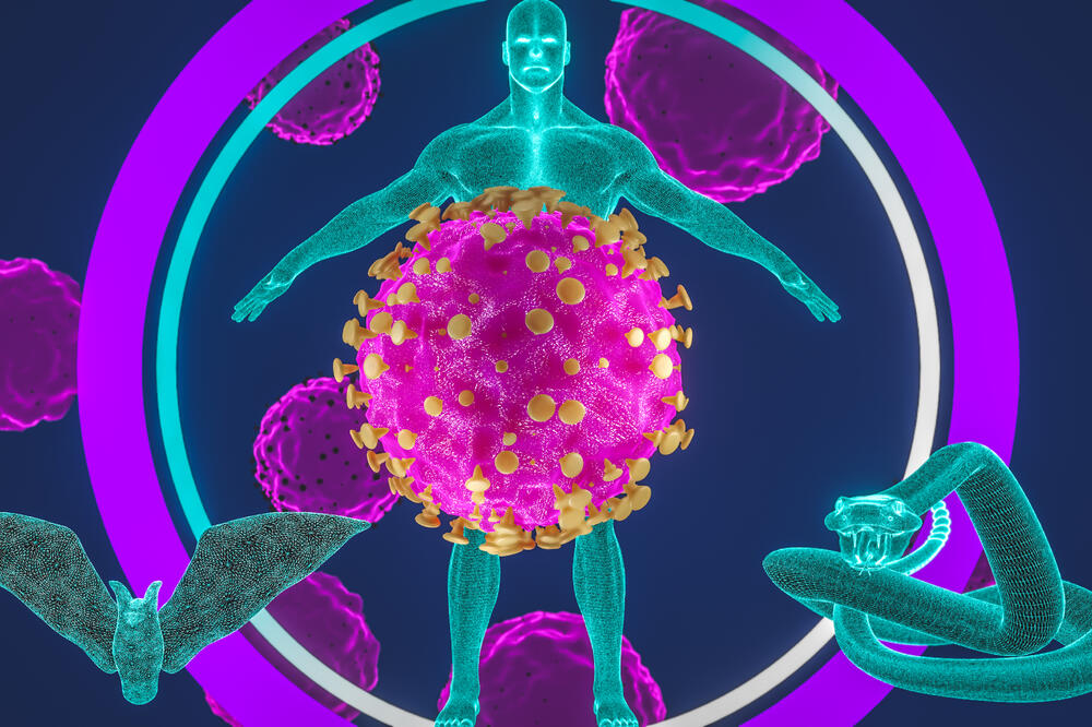 Ilustracija, Foto: Shutterstock