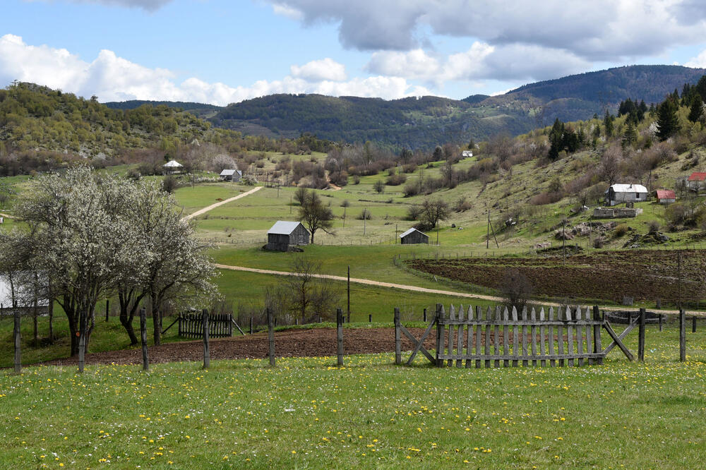 Crkvičko Polje (Ilustracija), Foto: Luka Zeković
