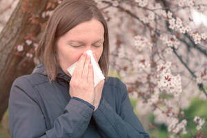 Kako ublažiti alergiju na polen: Provjetravati prostorije popodne,...