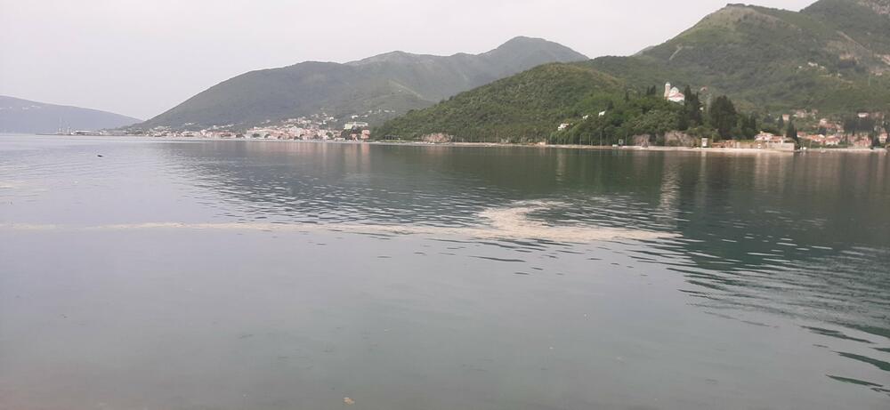 Mrlja u Boki Kotorskoj