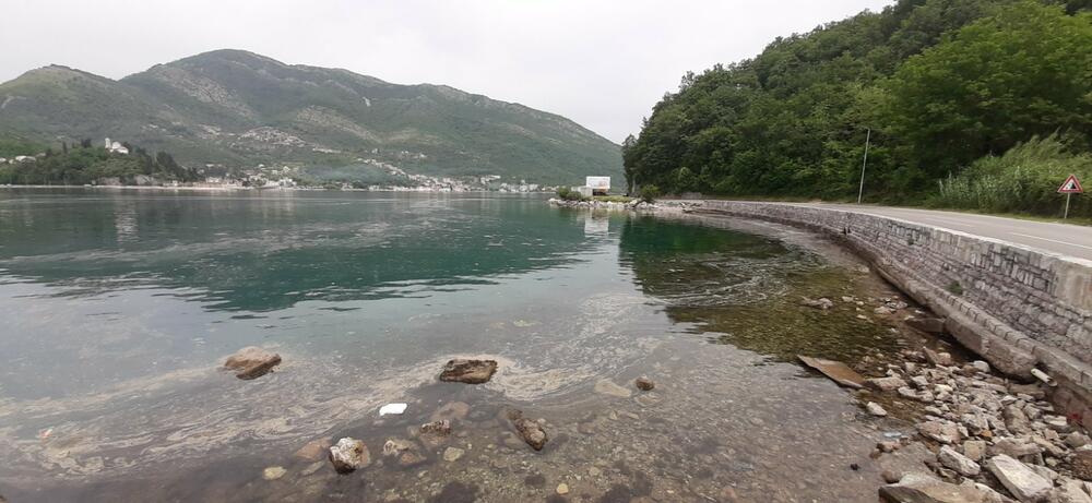 Mrlja u Boki Kotorskoj