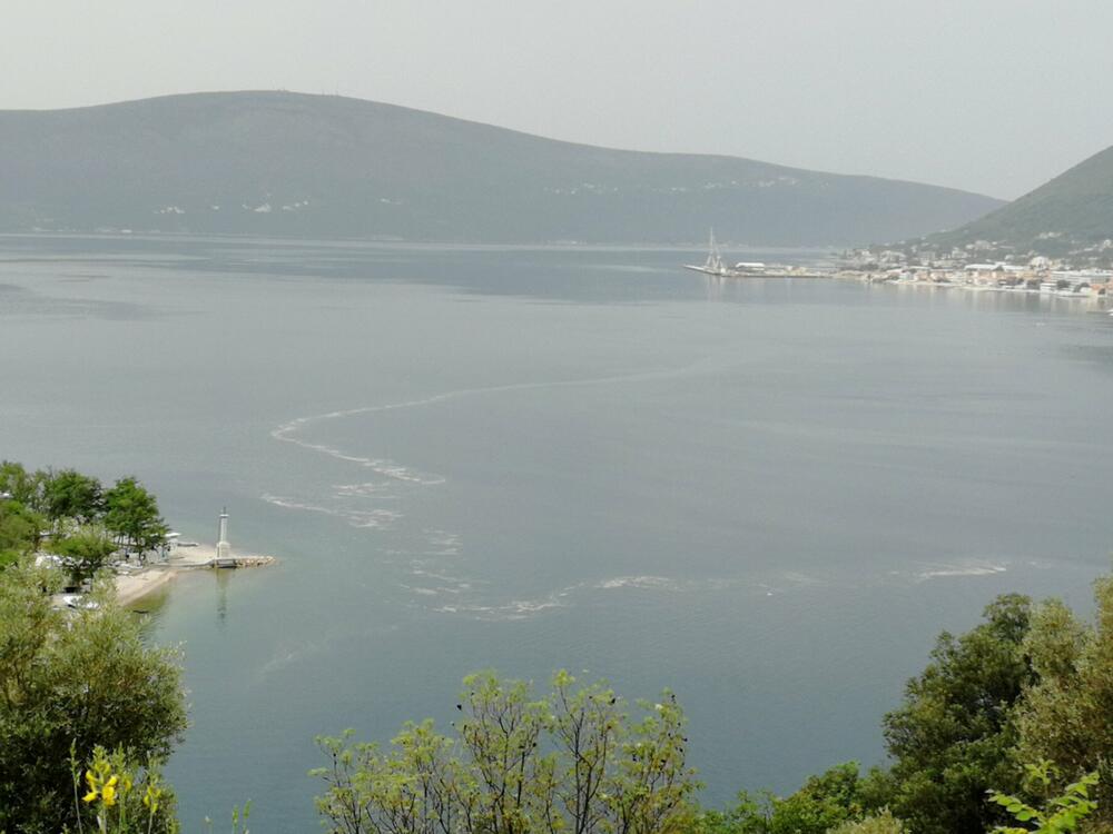 Mrlja u Boki Kotorskoj